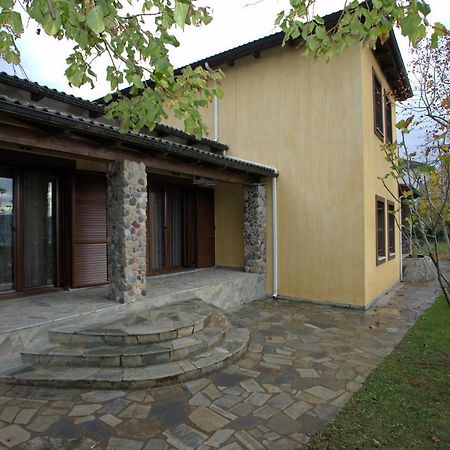 Wood And Stone Villa Янина Екстериор снимка